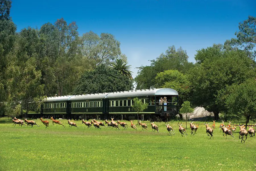 Viaje en tren de Rovos Rail por África | Go2Africa