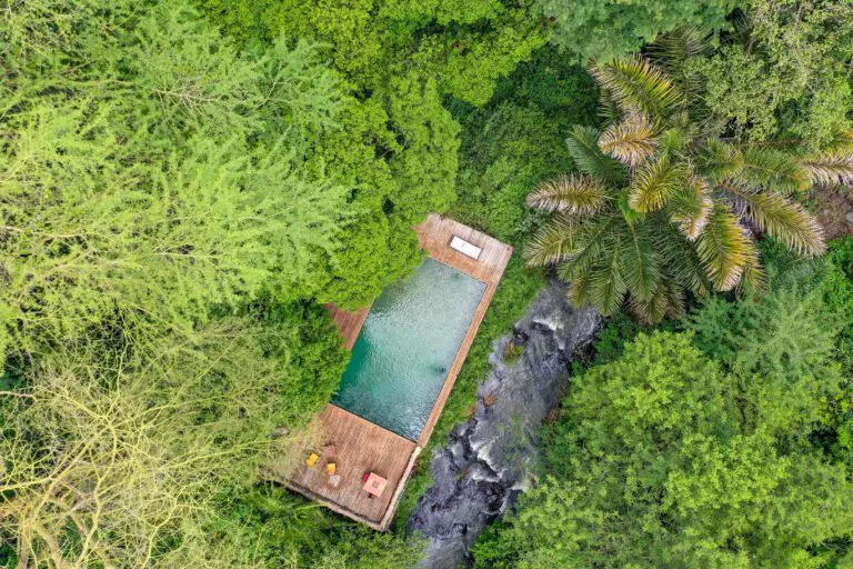 Swimming pool with a river view at Rhino River Camp.