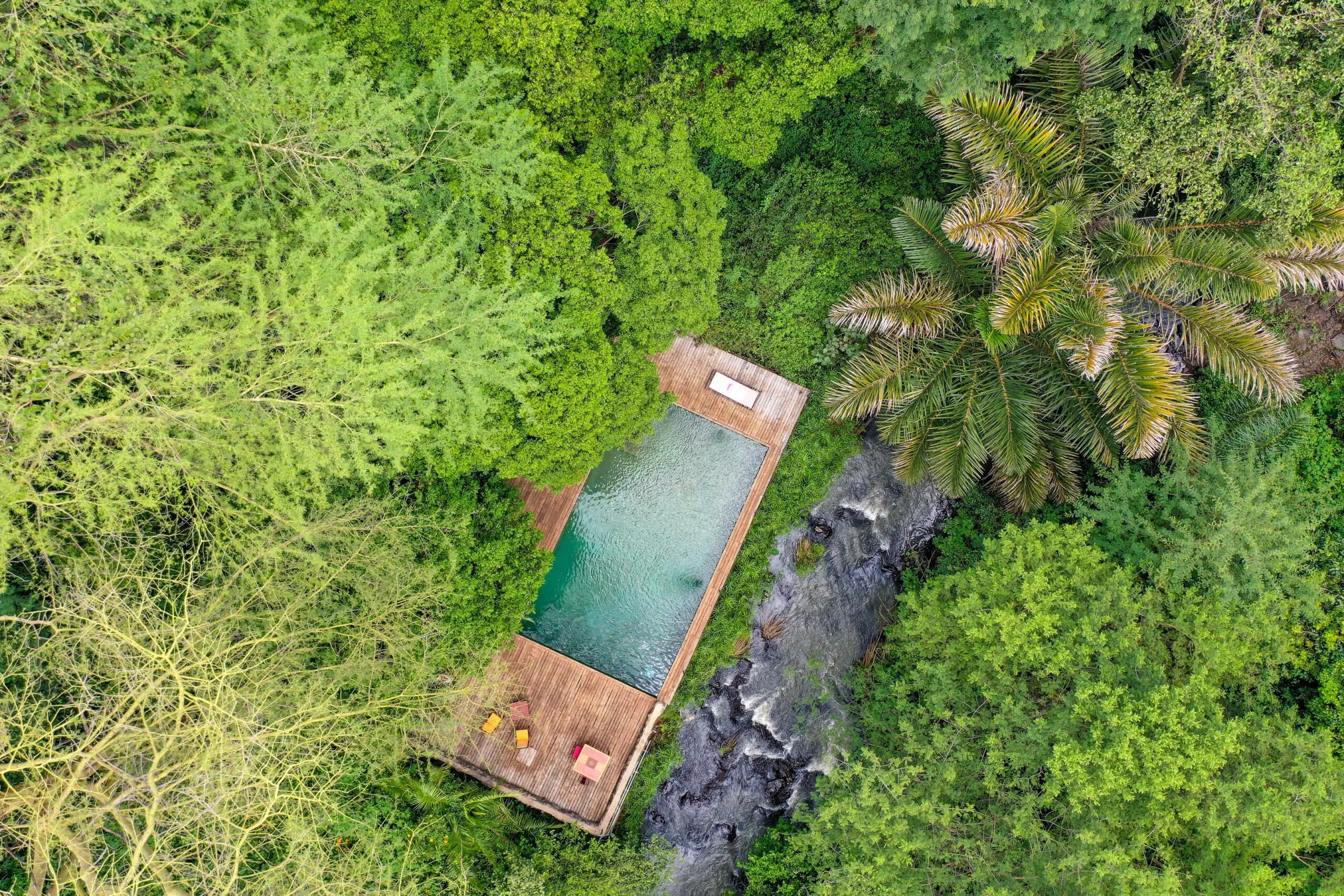 Swimming pool with a river view at Rhino River Camp.