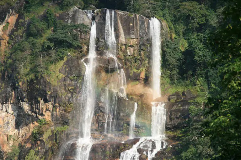 Udzungwa mountains.