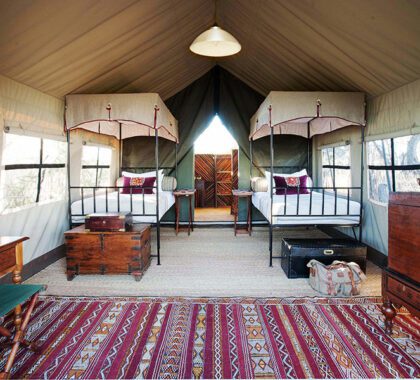 A twin suite at Camp Kalahari.