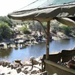 Vista de la vida salvaje desde el campamento Meno-a-Kwena.