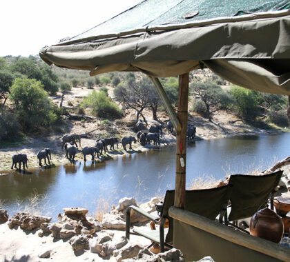View of wildlife from Meno-a-Kwena Camp.