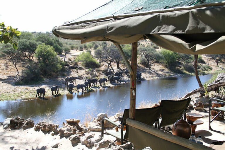 View of wildlife from Meno-a-Kwena Camp.