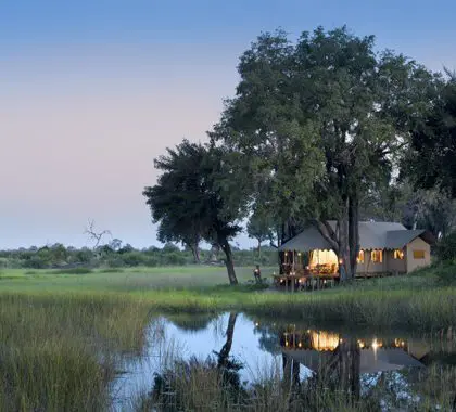 The ideal base from which to discover the Okavango Delta.
