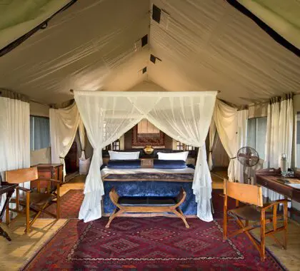 Spacious suites.