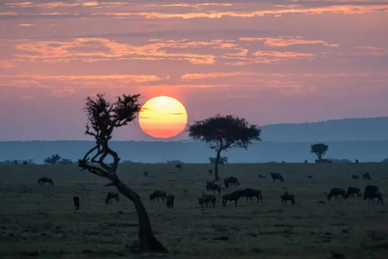 A sensational sunset.