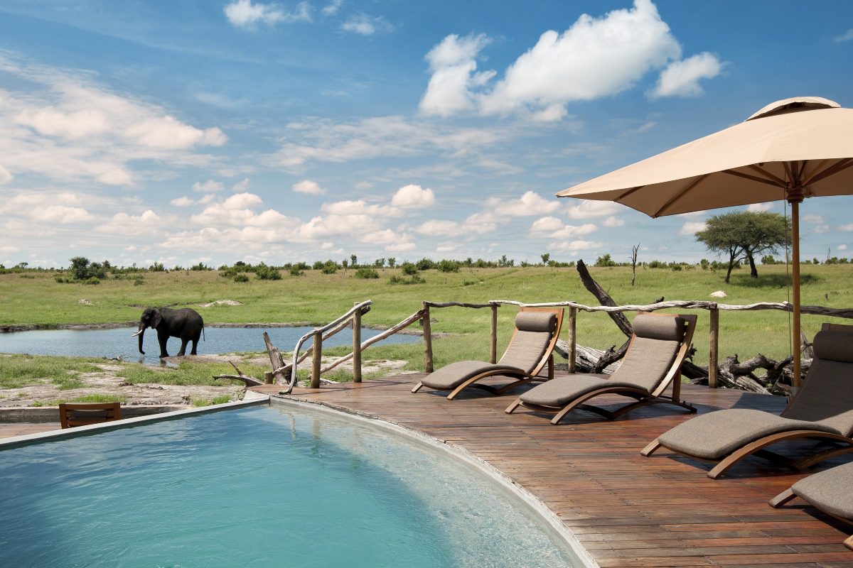 A crescent shaped pool and surrounding loungers overlook a watering hole where an elephant is basking in the sun | Go2Africa