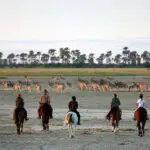 Horse riding