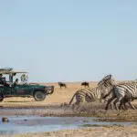 Game drive