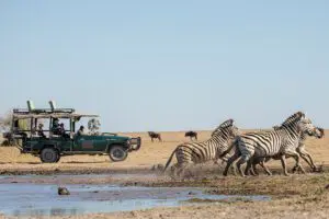 Game drive