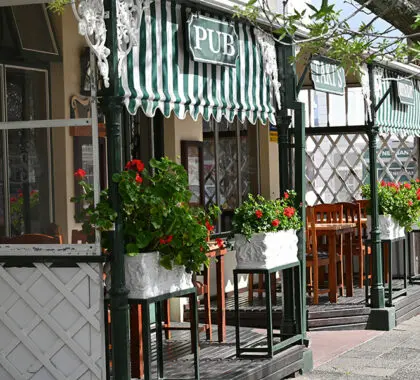 La ciudad de Franschhoek está repleta de bella arquitectura, tiendas, restaurantes, cafeterías y pintorescos pubs. 