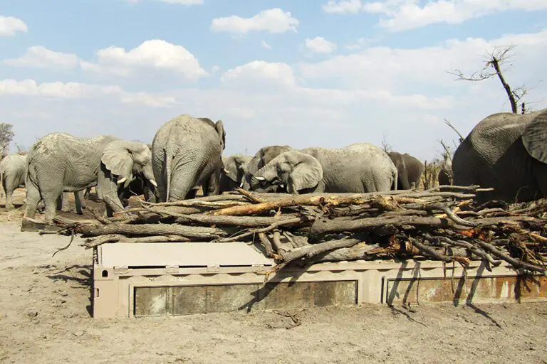 The hide at Hyena Pan.