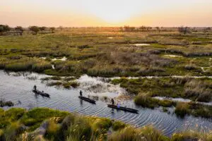 Mokoro safari.