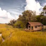 Little Sable tents are completely surrounded by nature.