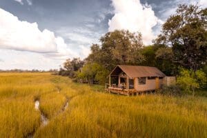 Little Sable tents are completely surrounded by nature.