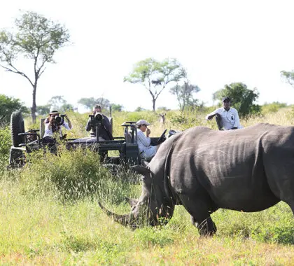 Los guías expertos de Londolozi proporcionan los mejores ángulos para la toma perfecta. | Londolozi
