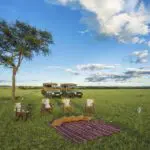 Safaris de día completo para avistar animales excepcionales.