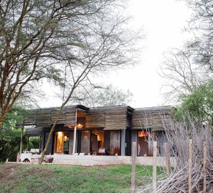 Die Matetsi River Lodge liegt inmitten von Wurstbäumen in der Nähe der Victoriafälle.