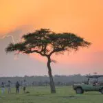 Safari nocturno en el campamento de Naboisho. 