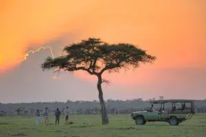 Safari nocturno en el campamento de Naboisho. 