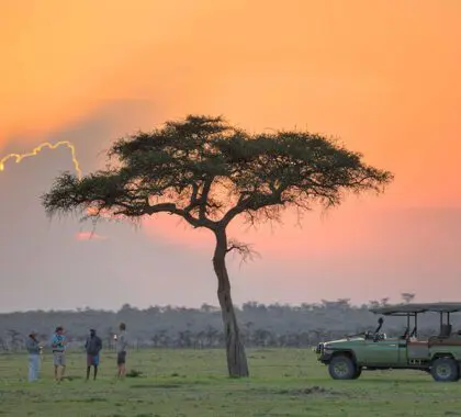 Safari nocturno en el campamento de Naboisho. 