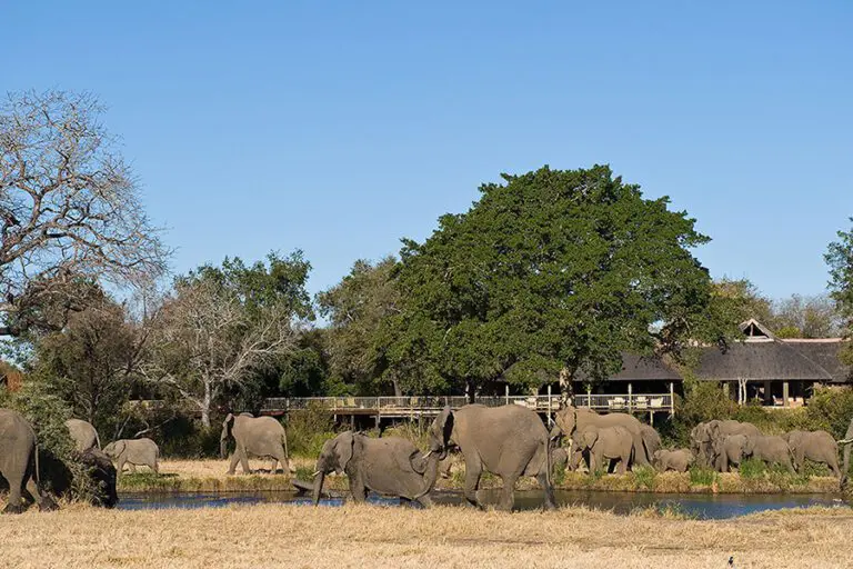 Exterior of is Sabi Sabi Bush Lodge.