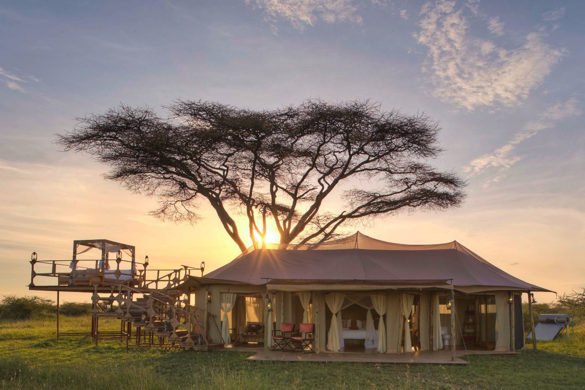 A tented camp with side sleepout platform and large tree in the background backlit by a setting sun | Go2Africa