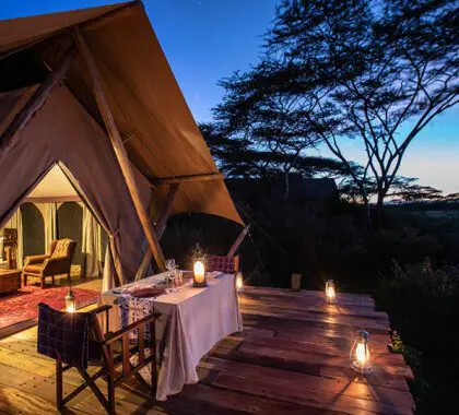 Dormitorio y terraza de la tienda Mara Nyika.