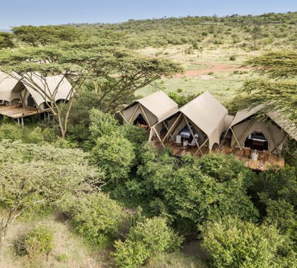 Private location in a game-rich Masai Mara Conservancy.
