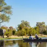 Safari en canoa mokoro.