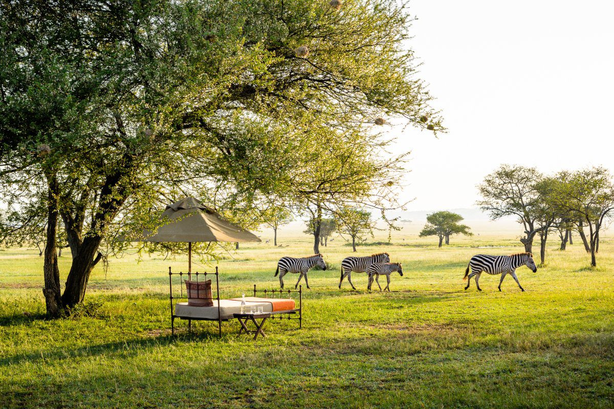 A day bed with an umbrella and small side table setup under a tree watching zebra walk along the grass and through a few trees at Singita Sabora Tented Camp | Go2Africa