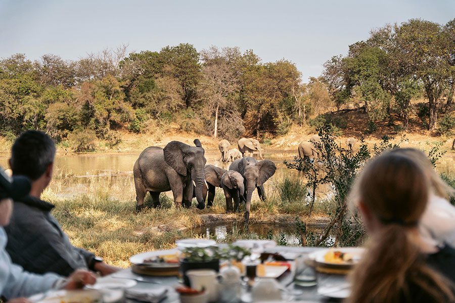 Four people sit at a breakfast table overlooking a river with elephants wading through it | Go2Africa