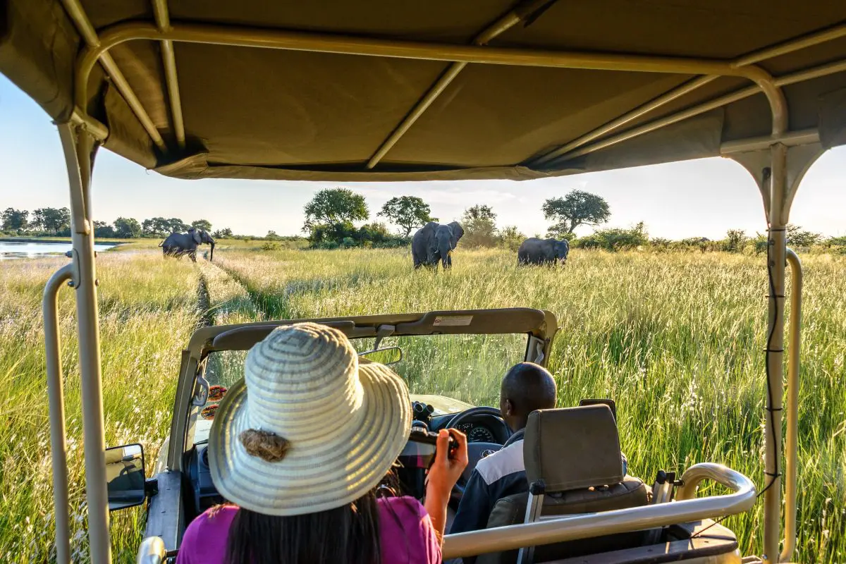 Un vehículo de caza observa a 3 elefantes entre las largas hierbas en la franja de Caprivi | Go2Africa