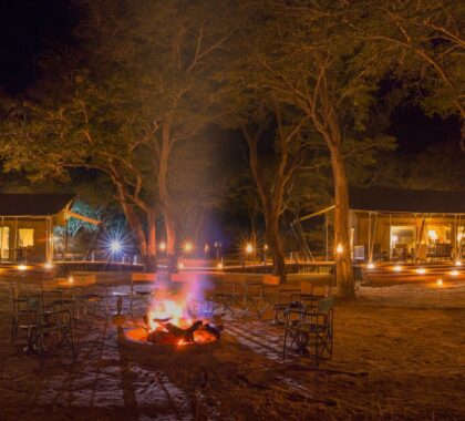 6 Best Safari Camps in Zimbabwe’s Hwange National Park