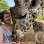 Dar de comer a una jirafa en la Mansión de las Jirafas. 