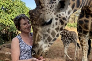 Dar de comer a una jirafa en la Mansión de las Jirafas. 
