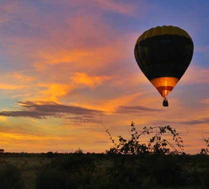 Air balloon Safari 