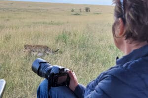 Avistamiento de leopardos en Kenia. 