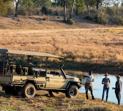 Morning game drives