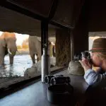 Singita Malilangwe Hide