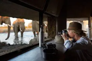 Singita Malilangwe Hide