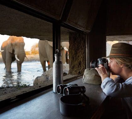 Singita Malilangwe Ocultar