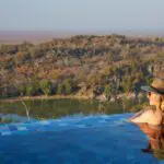 Swimming pool with a view