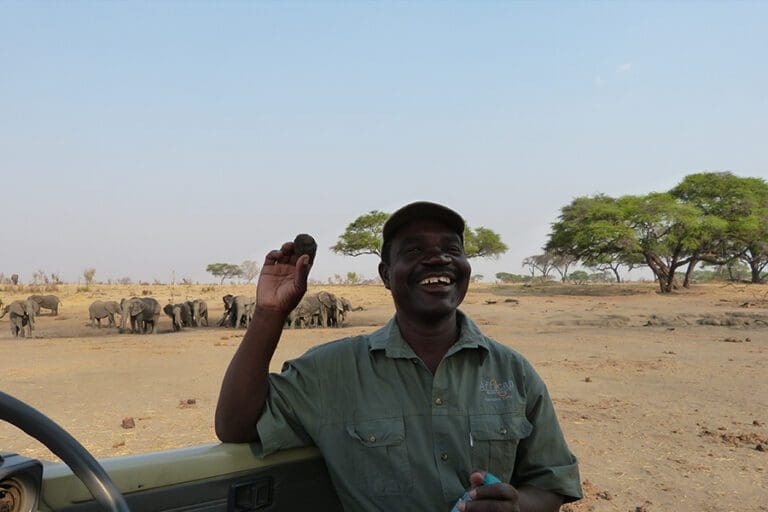 While on game drive
