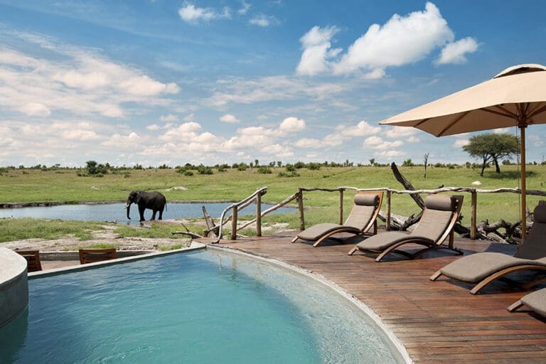 Views from main swimming pool