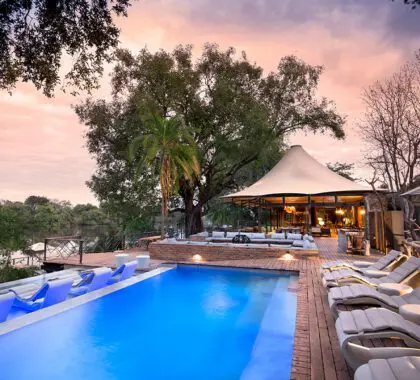 african_bush_camps_thorntree_river_lodge_Pool