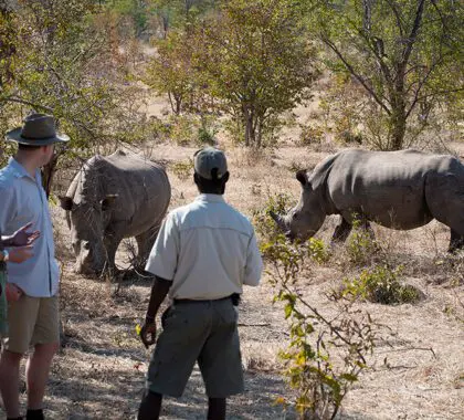 Safari a pie en el Parque Nacional de Mosi Oa Tunya, Zambia.