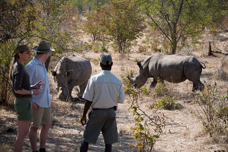 Walking safari in Mosi Oa Tunya National Park, Zambia.
