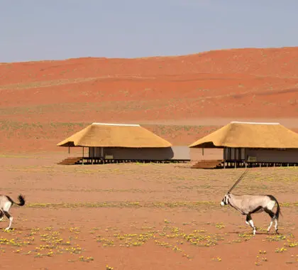 Exteriores de las habitaciones de Kwessi Dunes.